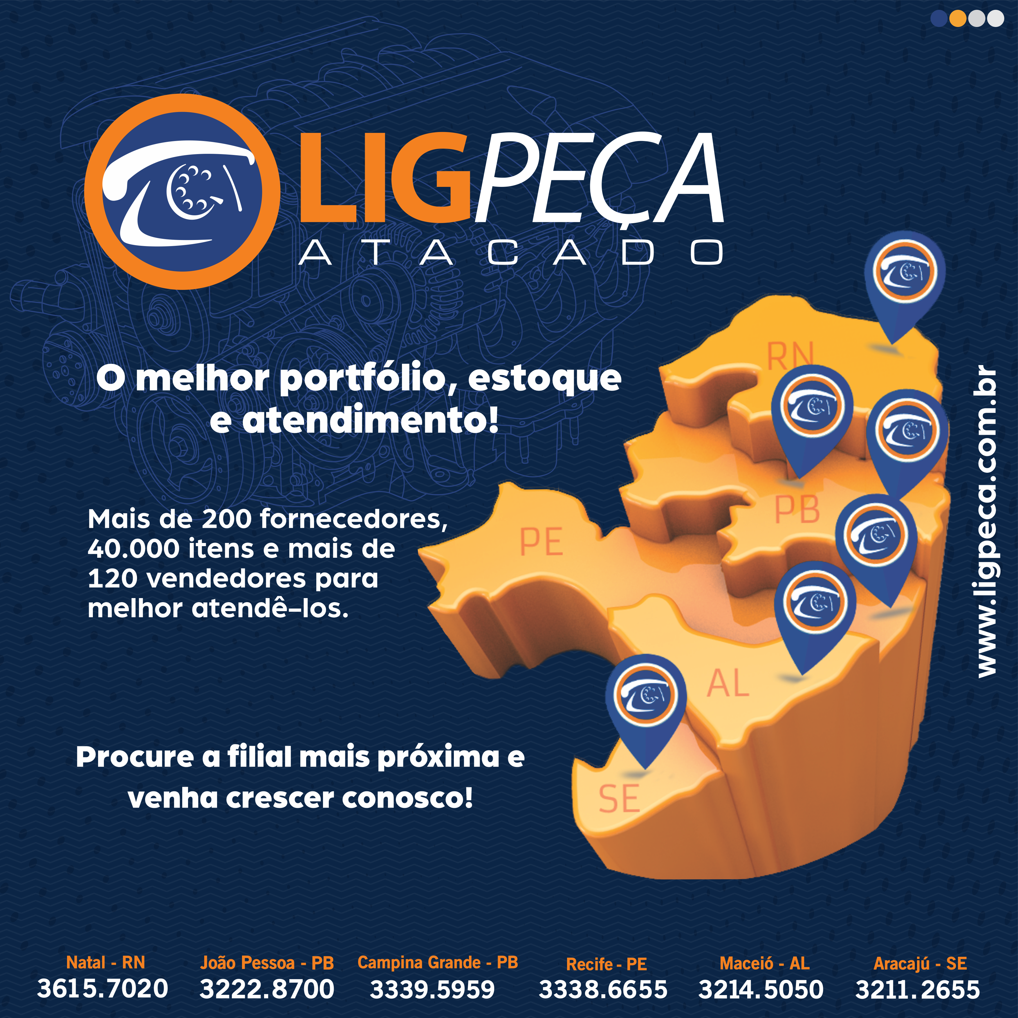 (c) Ligpeca.com.br